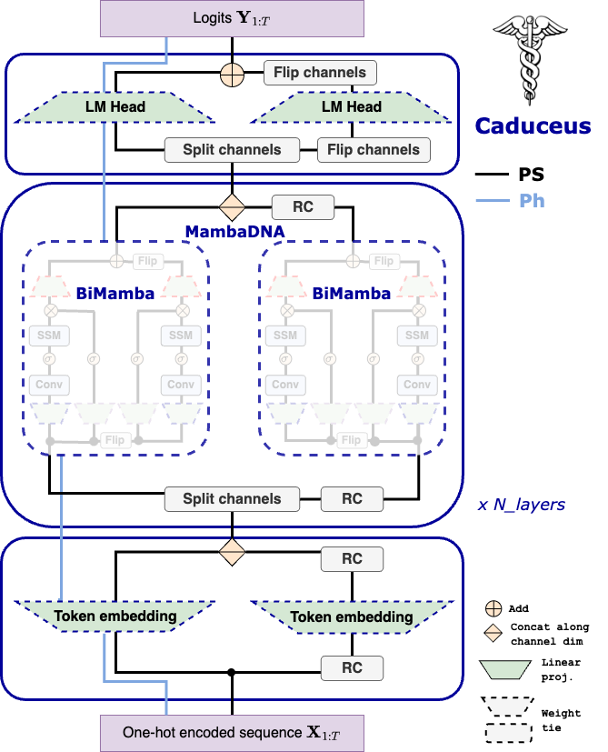 Caduceus Architecture